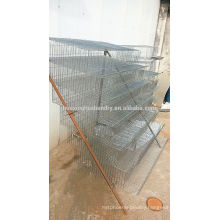 Cheap galvanized chicken cages/wire mesh quail cage for poultry farm